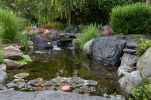 Landscape,architecture,for,spring,and,summer,garden,featuring,koi,pond