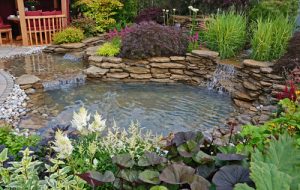 The,pond,area,in,an,aquatic,garden,with,planted,rockery